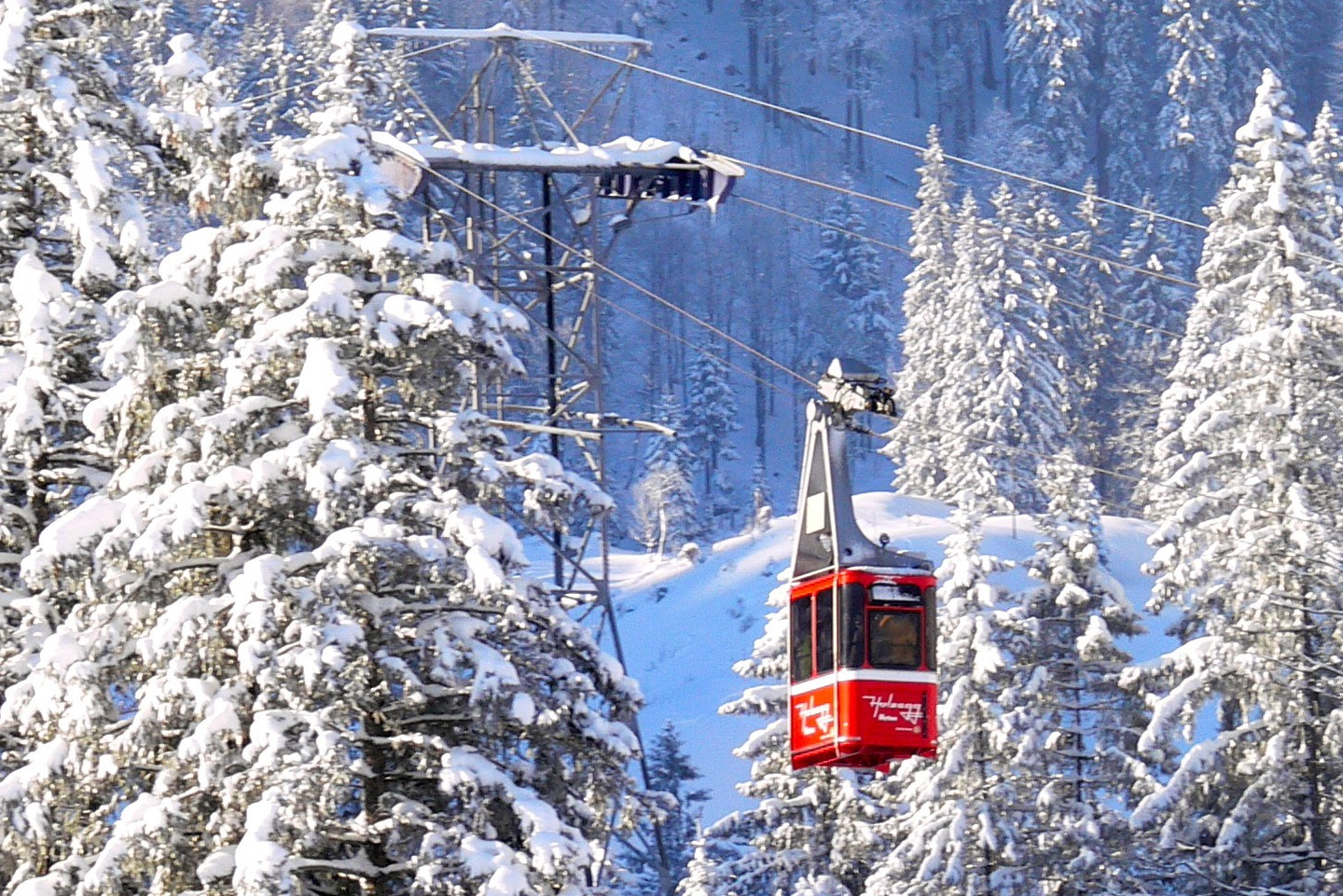 Seilbahn Holzegg für "ächt SCHWYZ"-Winterpass