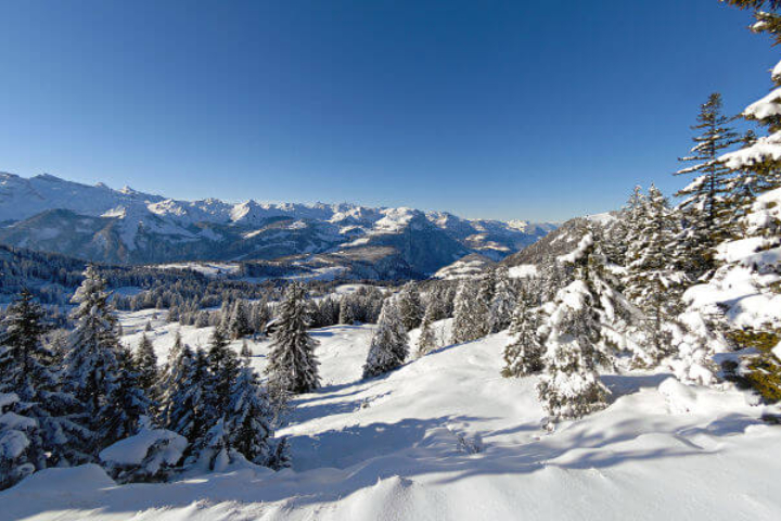 "ächt SCHWYZ"-Winterpass 2021 - Package Swiss-Chalet Merlischachen - Bergsicht im Kanton Schwyz im Winter